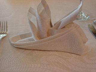 folded napkin, pre-use