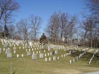 rows of headstones at Arlington Cemetary